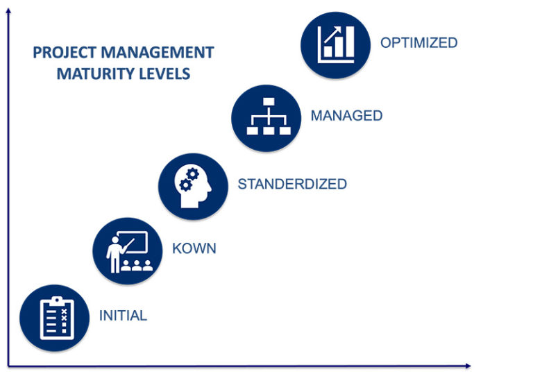 Project management maturity